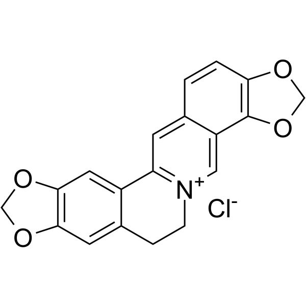 Coptisine-chloride Structure